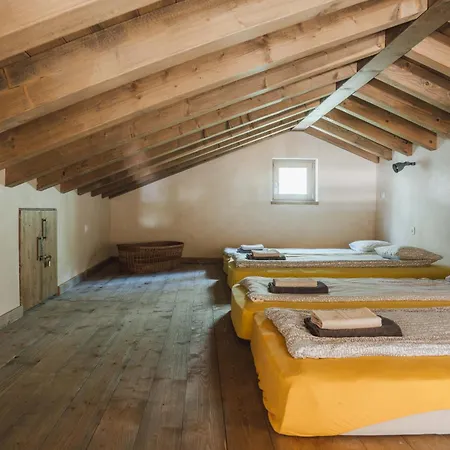 Birds House * Rovinj